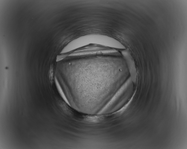 X0000086890190200705071231