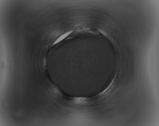 X0000086890192200705071231