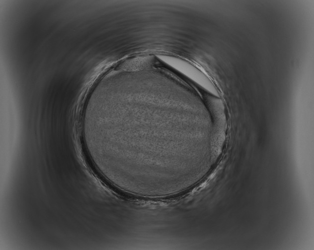 X0000086890193200705071230