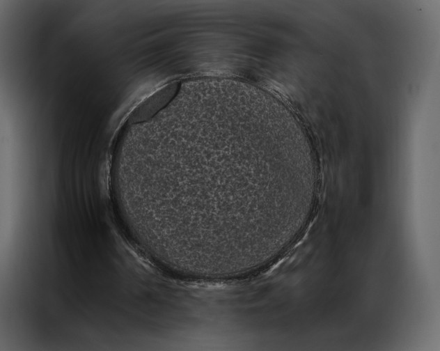 X0000086890194200705071230