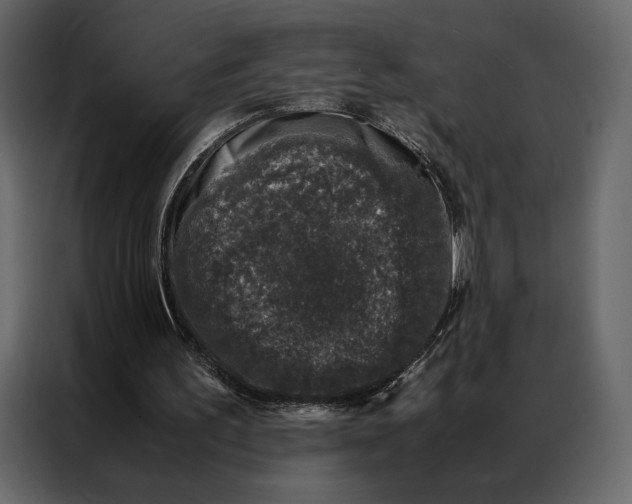 X0000086890195200705071230