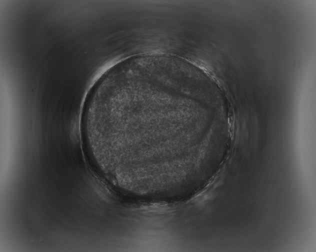 X0000086890196200705071230