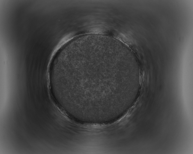 X0000086890198200705071230