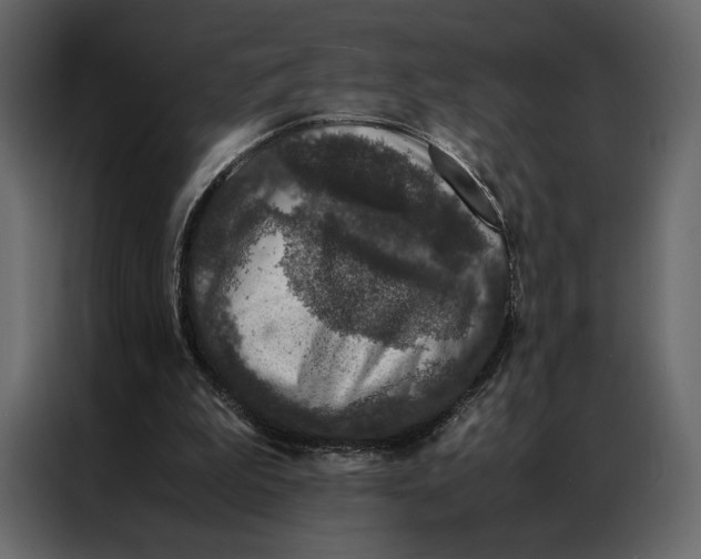 X0000086890199200705071230