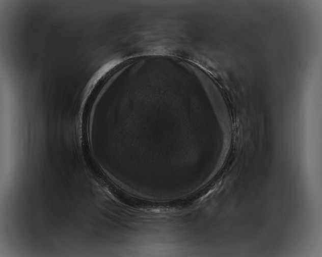 X0000086890200200705071230