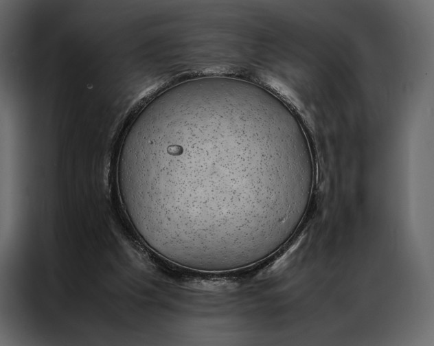 X0000086890201200705071230