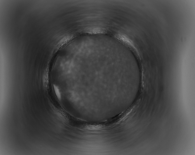 X0000086890202200705071230