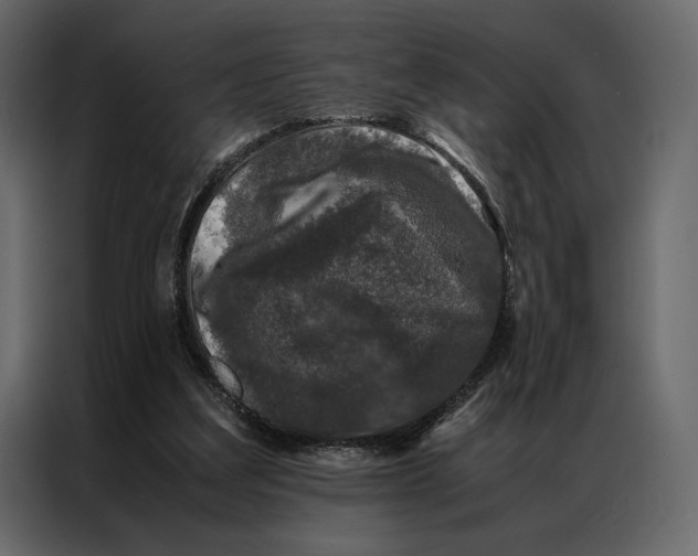 X0000086890203200705071230