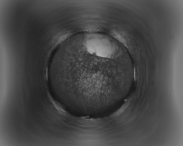 X0000086890205200705071230