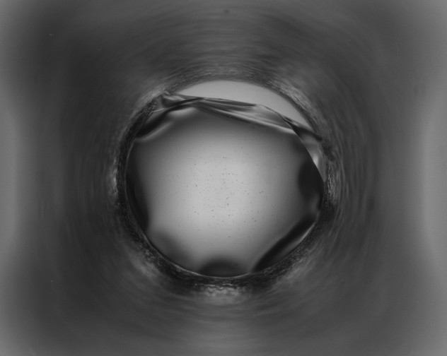 X0000086890207200705071230