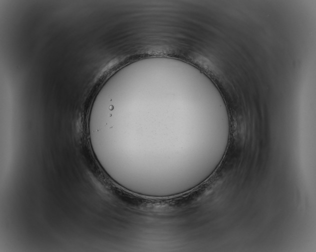 X0000086890208200705071230