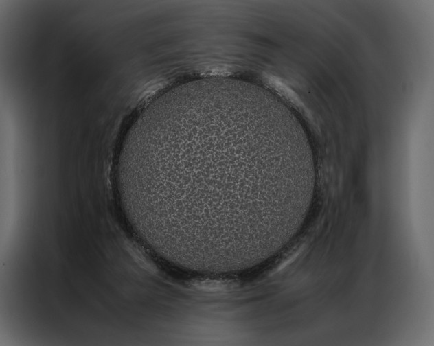 X0000086890209200705071230