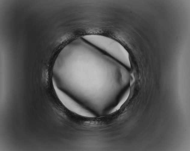 X0000086890211200705071229