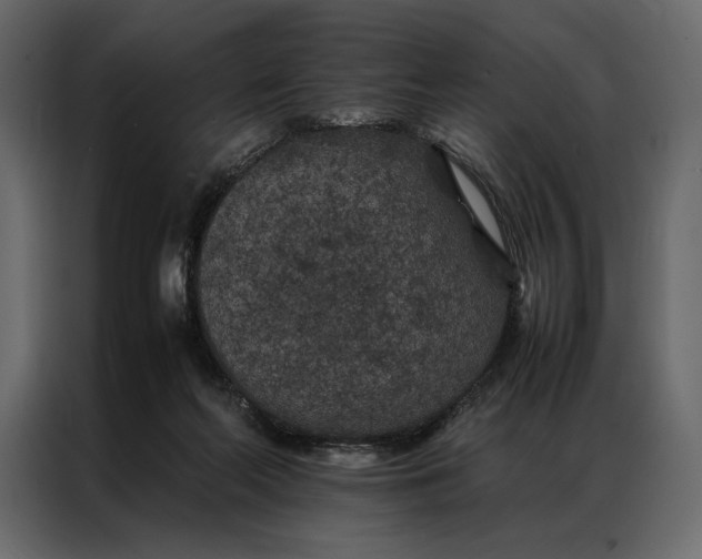 X0000086890214200705071229