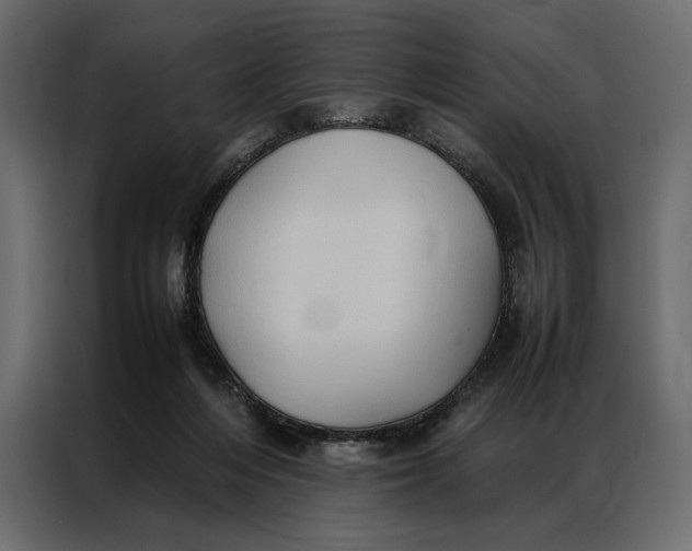 X0000086890216200705071229