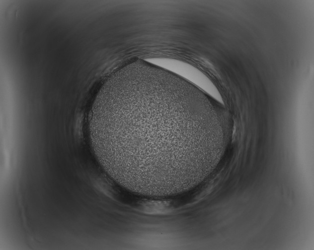 X0000086890217200705071229