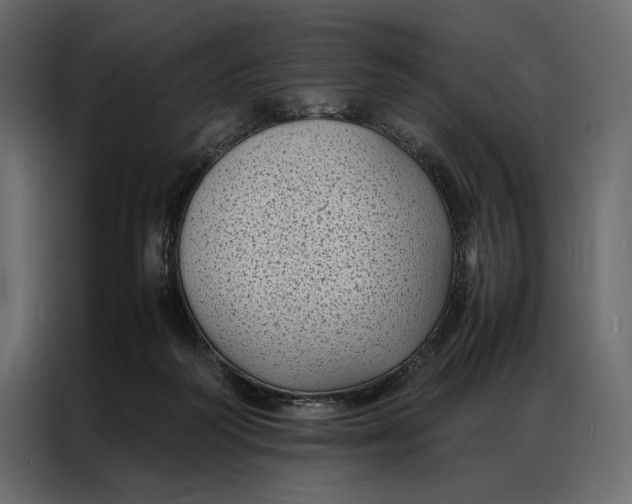 X0000086890218200705071229