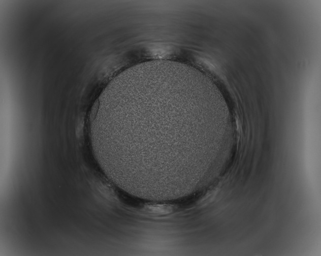 X0000086890221200705071229