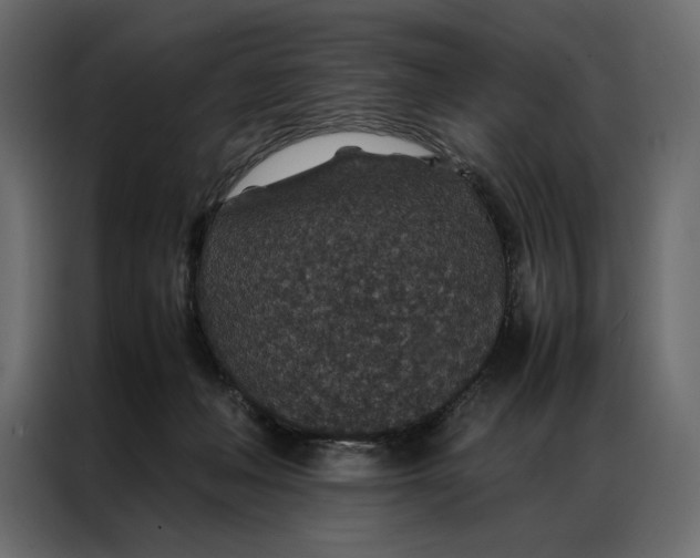 X0000086890222200705071229