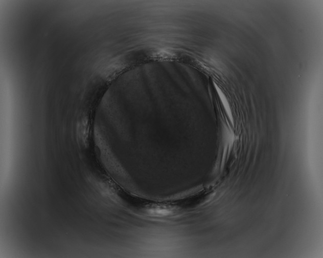 X0000086890223200705071229