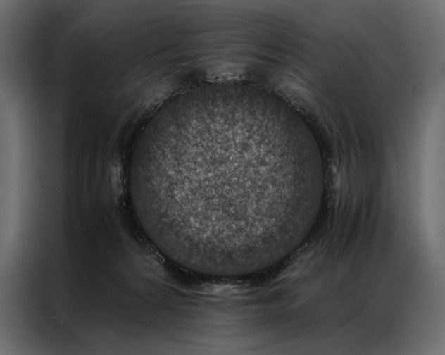 X0000086890224200705071229