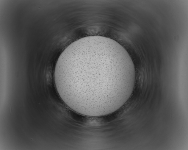 X0000086890226200705071229