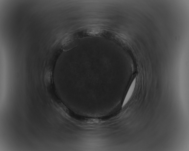 X0000086890227200705071229