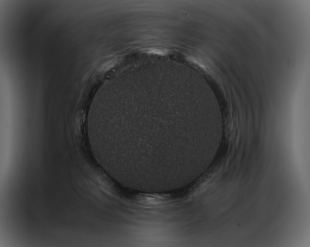 X0000086890229200705071229