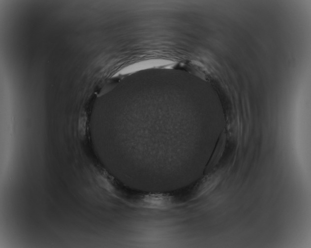 X0000086890231200705071229