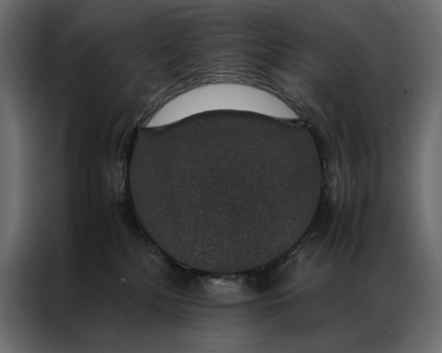 X0000086890232200705071229