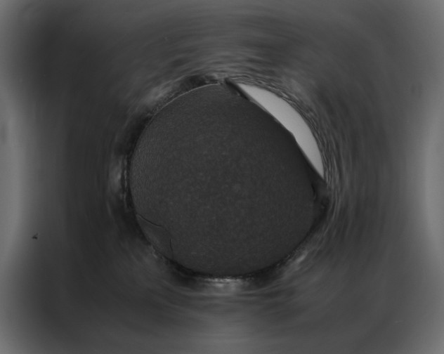 X0000086890233200705071229