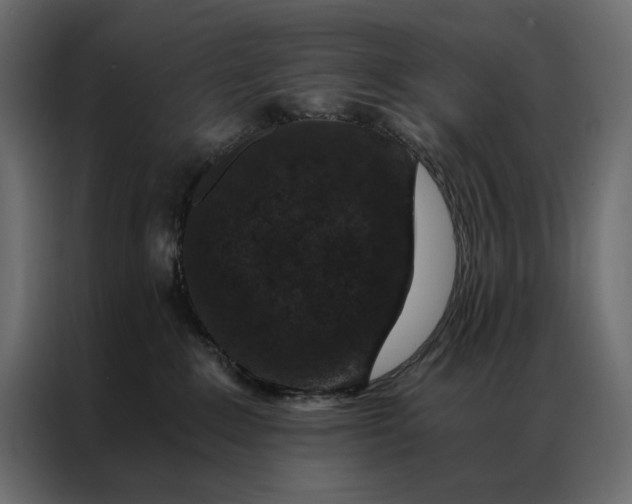 X0000086890235200705071229