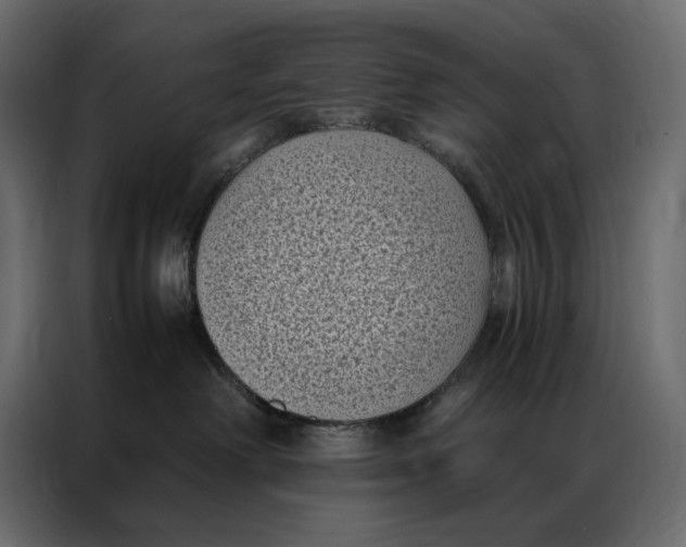 X0000086890238200705071229