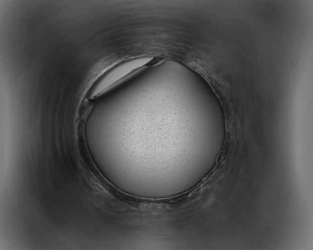 X0000086890242200705071228