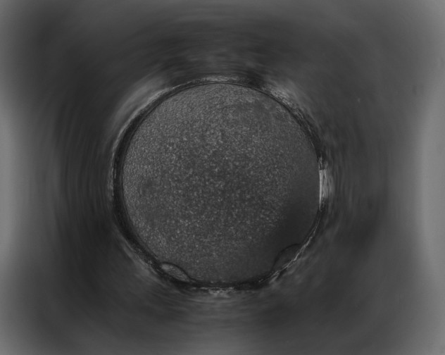 X0000086890243200705071228