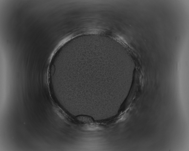 X0000086890244200705071229