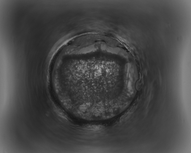 X0000086890247200705071229