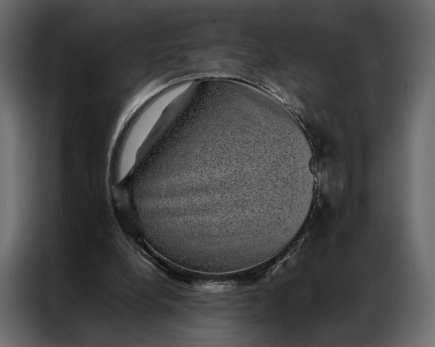 X0000086890248200705071229