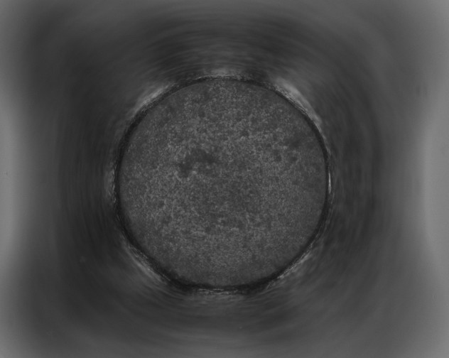 X0000086890249200705071229