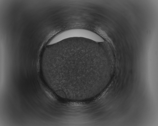 X0000086890250200705071229