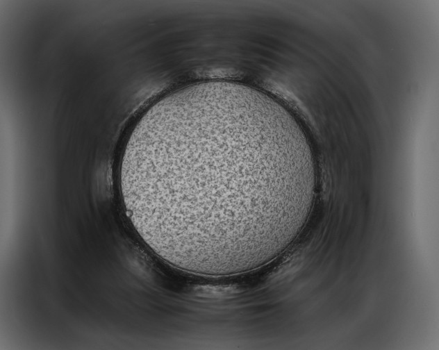 X0000086890251200705071229