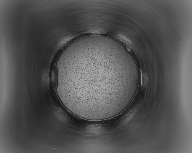 X0000086890252200705071229