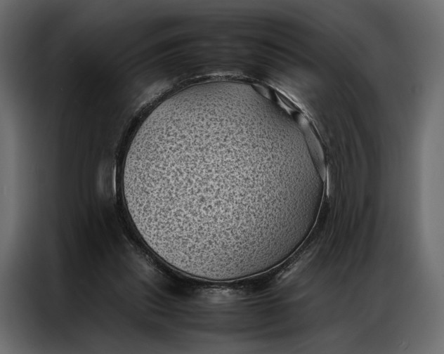 X0000086890253200705071229