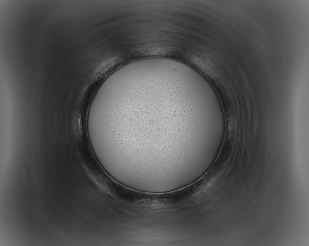 X0000086890254200705071229