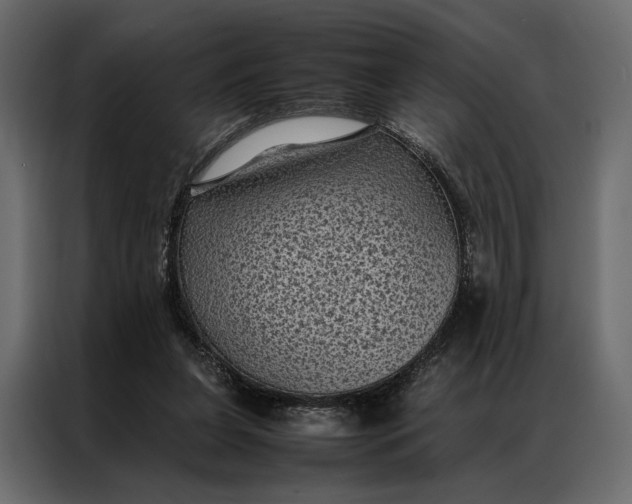 X0000086890255200705071229