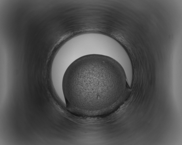 X0000086890256200705071229