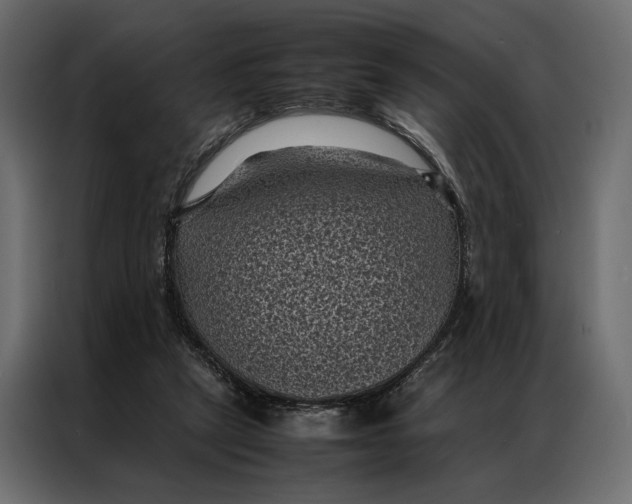 X0000086890257200705071229