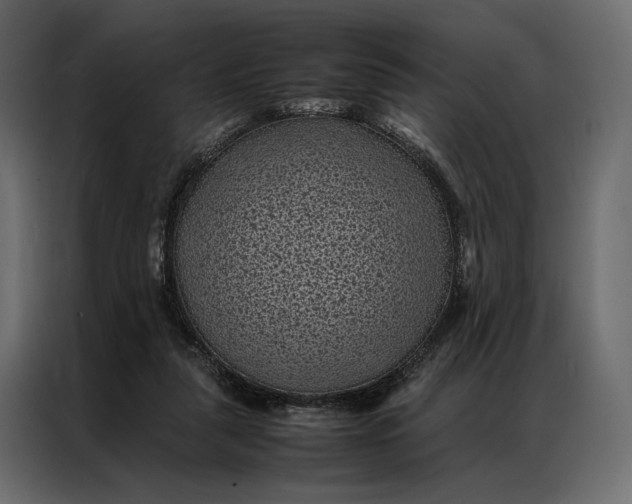 X0000086890259200705071229