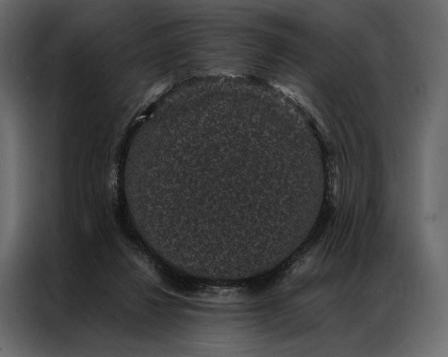 X0000086890260200705071229