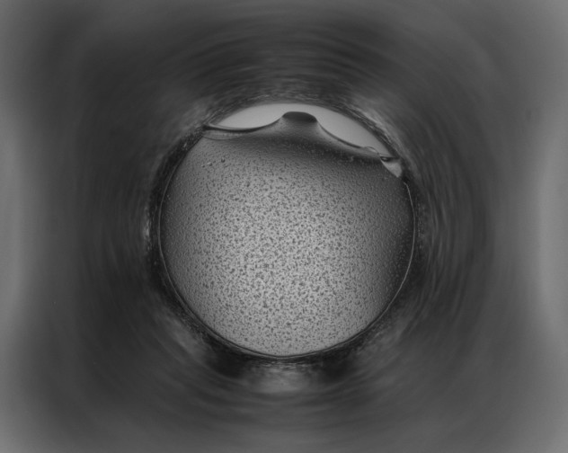 X0000086890261200705071229